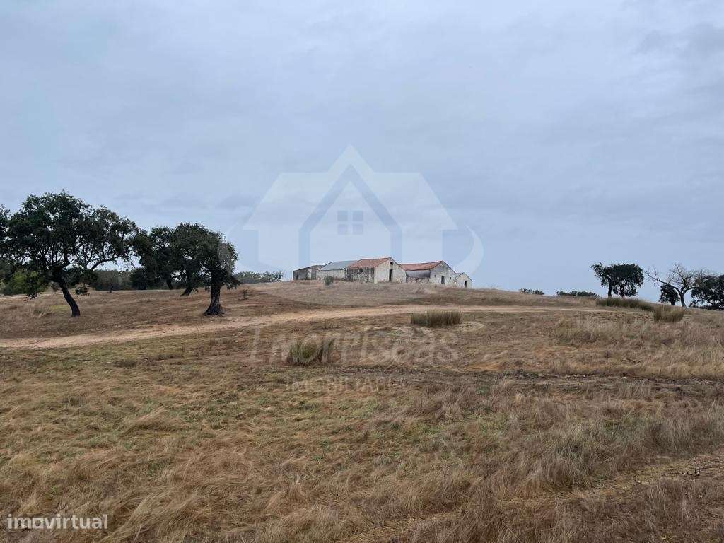 Herdade de 6,5 hectares, com 431 m² urbanos em Pavia, concelho de Mora - Grande imagem: 4/25