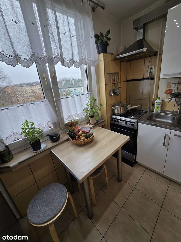 Os. Robotnicze 2-pokojowe mieszkanie w bloku - Pełny obrazek: 5/16