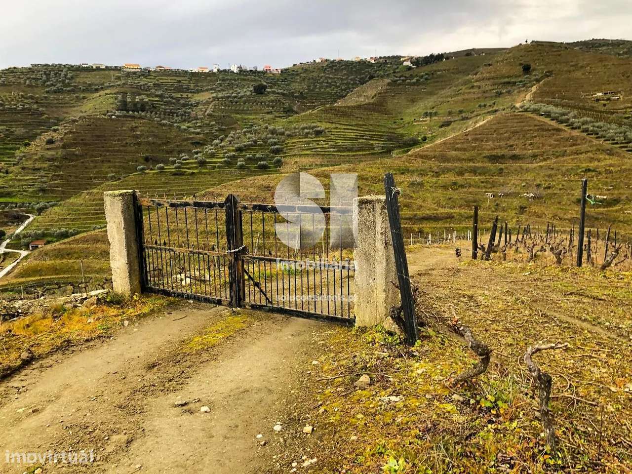 Terreno em Murça - Grande imagem: 4/40