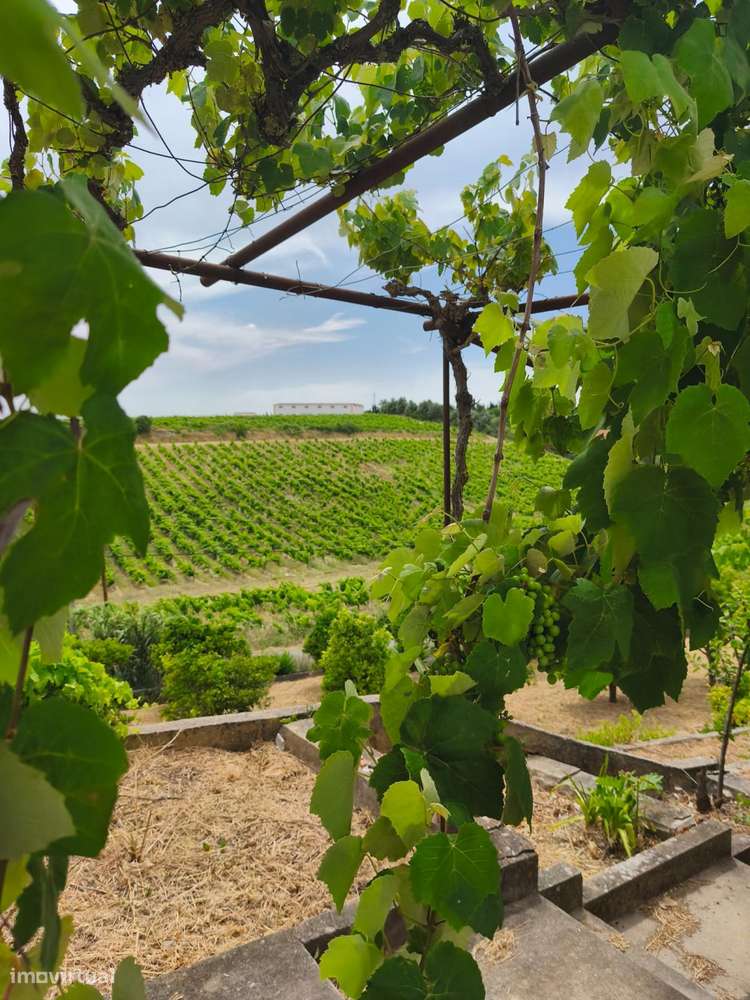 Casa com 2 quartos - localizado em Santarem - Grande imagem: 3/6