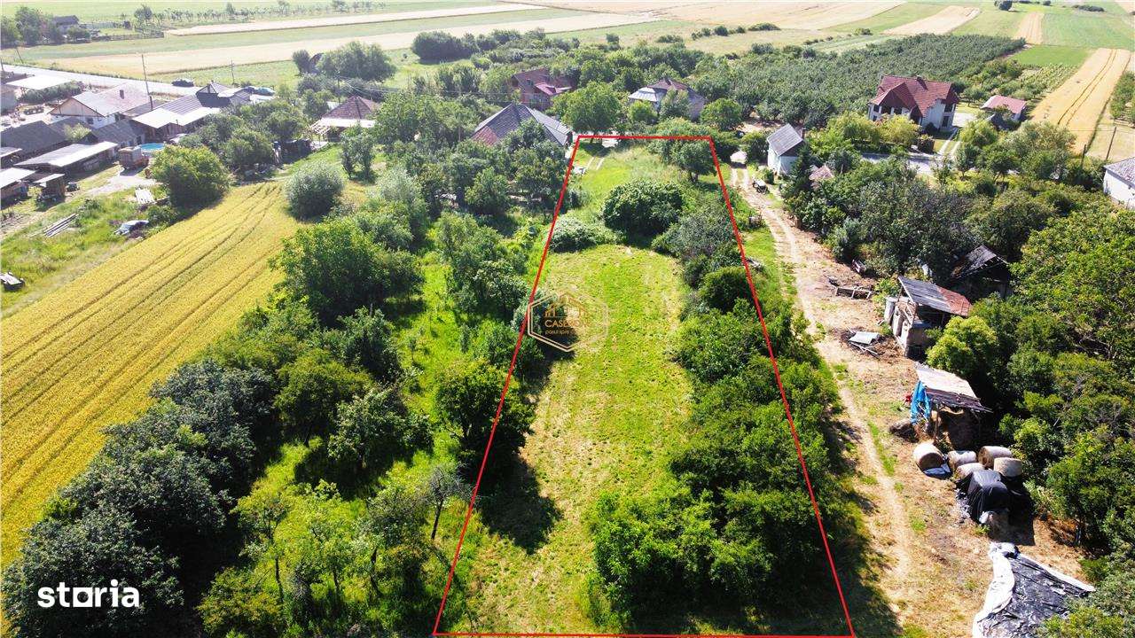 Teren intravilan - 2.488 mp in Viile Satu Mare | Drum principal - Imagine principală: 4/9