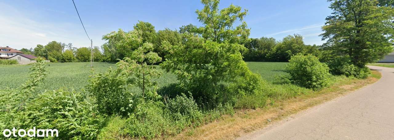 Na sprzedaż działka Rolno-budowlana 1,05 ha - Pomianowo (Dzierzążnia) - Pełny obrazek: 5/5