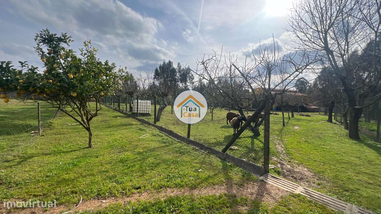 Quinta de 21.860m2 Murada com 3 Entradas, Potencial para Moradia ou Lo - Grande imagem: 4/39