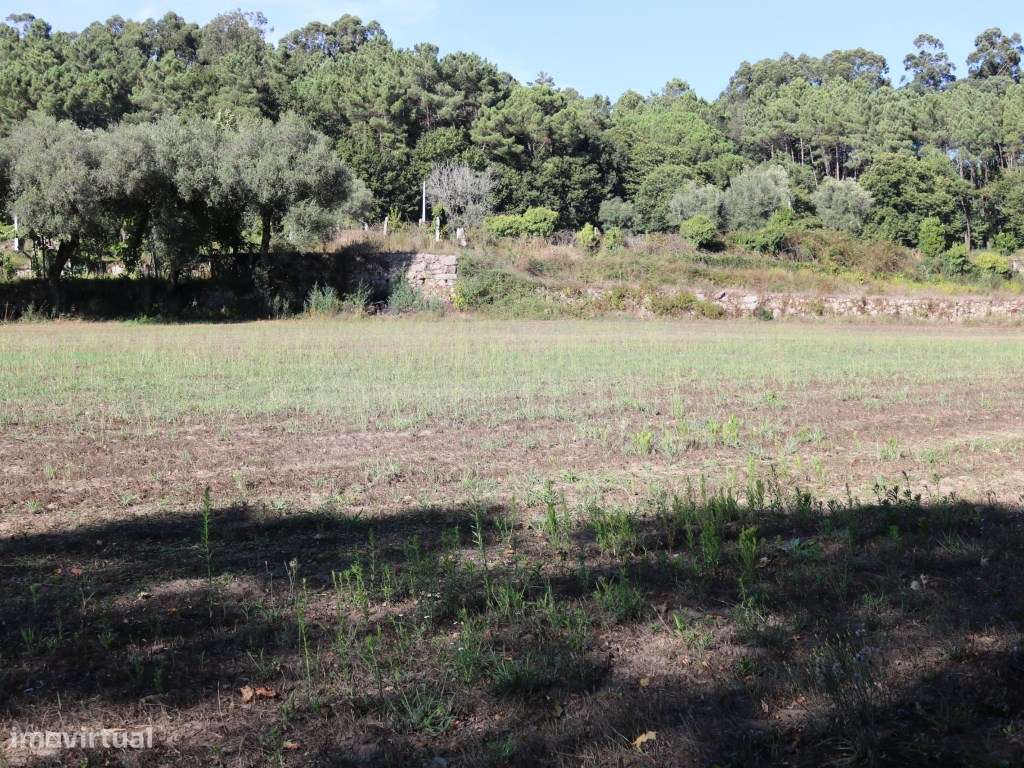 Terreno agrícola em Refóios, Ponte de Lima - Grande imagem: 3/9