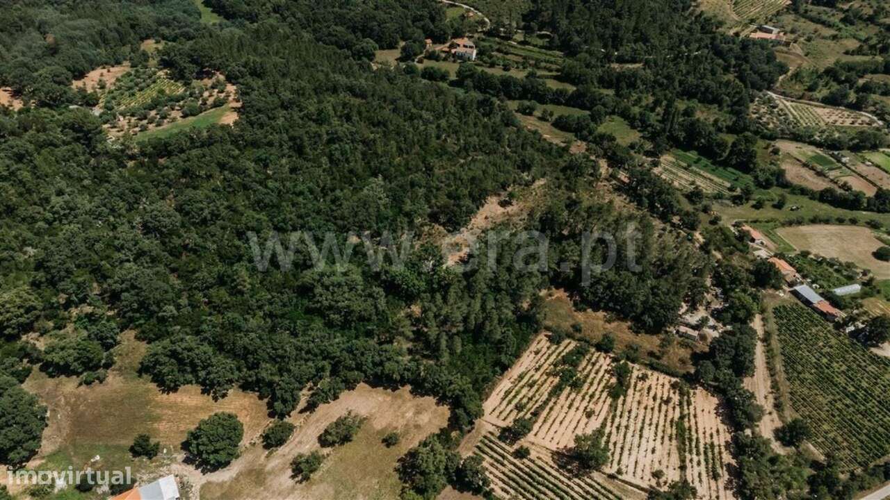 Terreno Rústico / Fundão, Fatela-6