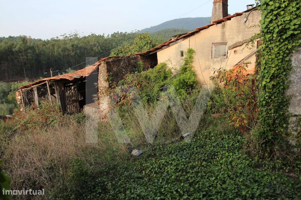 Moradia T4 para recuperar com Garagem + Terreno com duas frentes - Grande imagem: 5/16