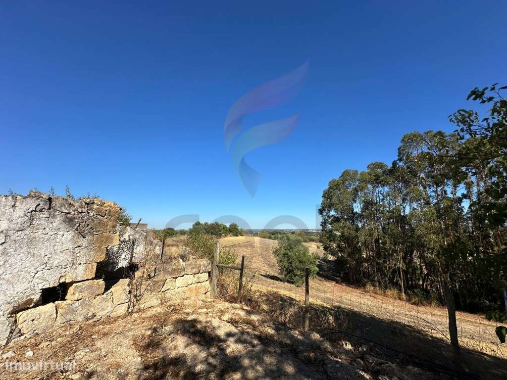 Moradia Independente (Comeiras de Baixo) - São Vicente do Paul-3