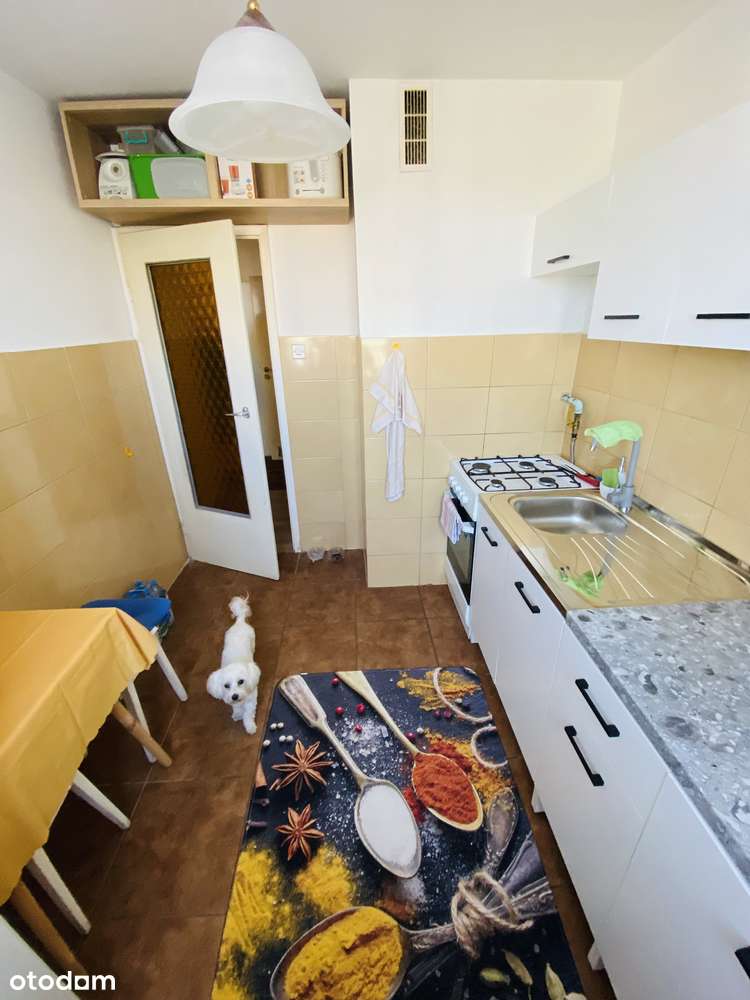 Wrocław/Krzyki/Gaj,pow.65m2,balkon, piwnica, winda-3