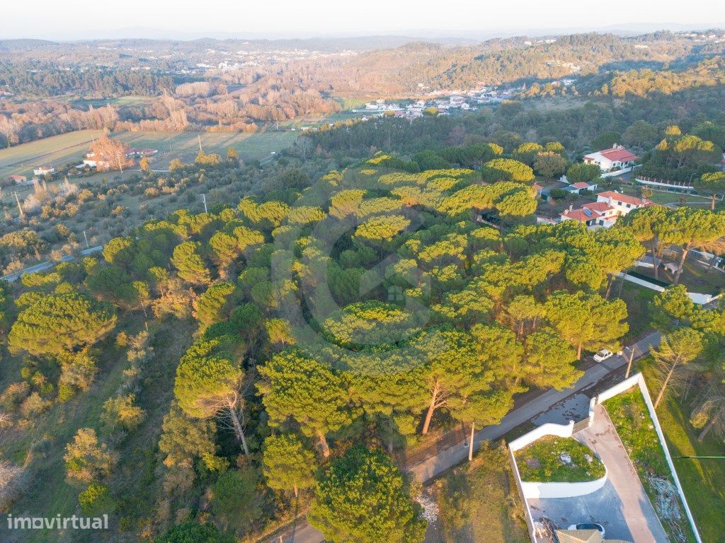 Lote construção moradias