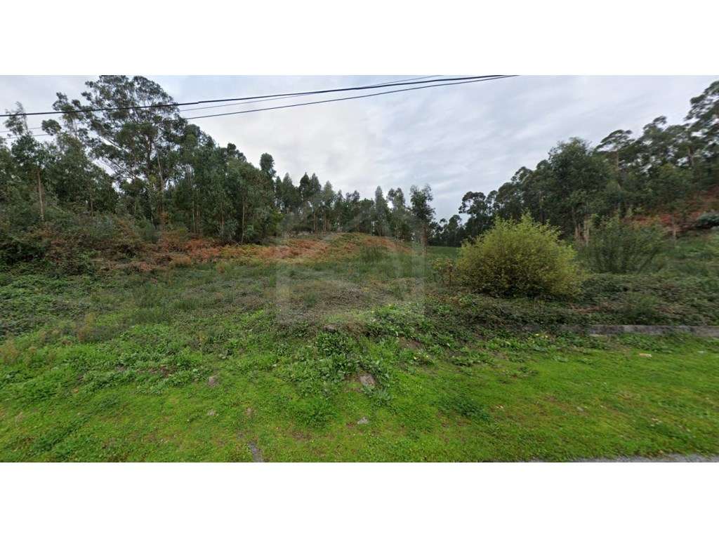 Terreno para Construção em Cesar, Oliveira de Azeméis - Grande imagem: 4/4