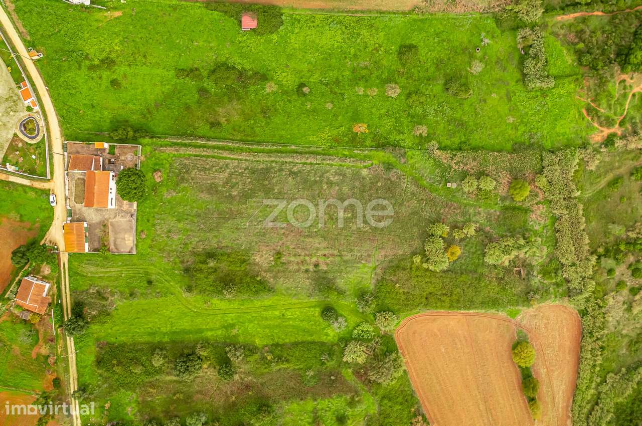 Terreno Rústico 7.440m2 Ventosa Alenquer - Grande imagem: 2/20
