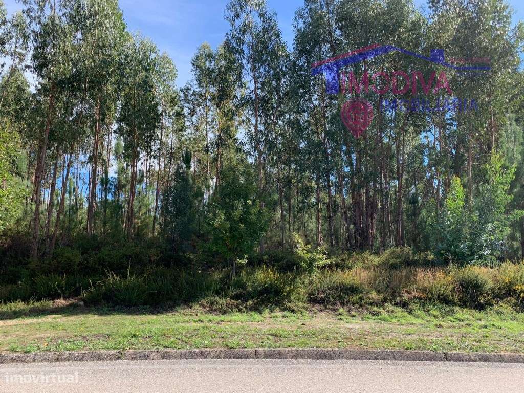 Terreno com viabilidade de Construção em Vila Facaia, Pedrogão Grande-1