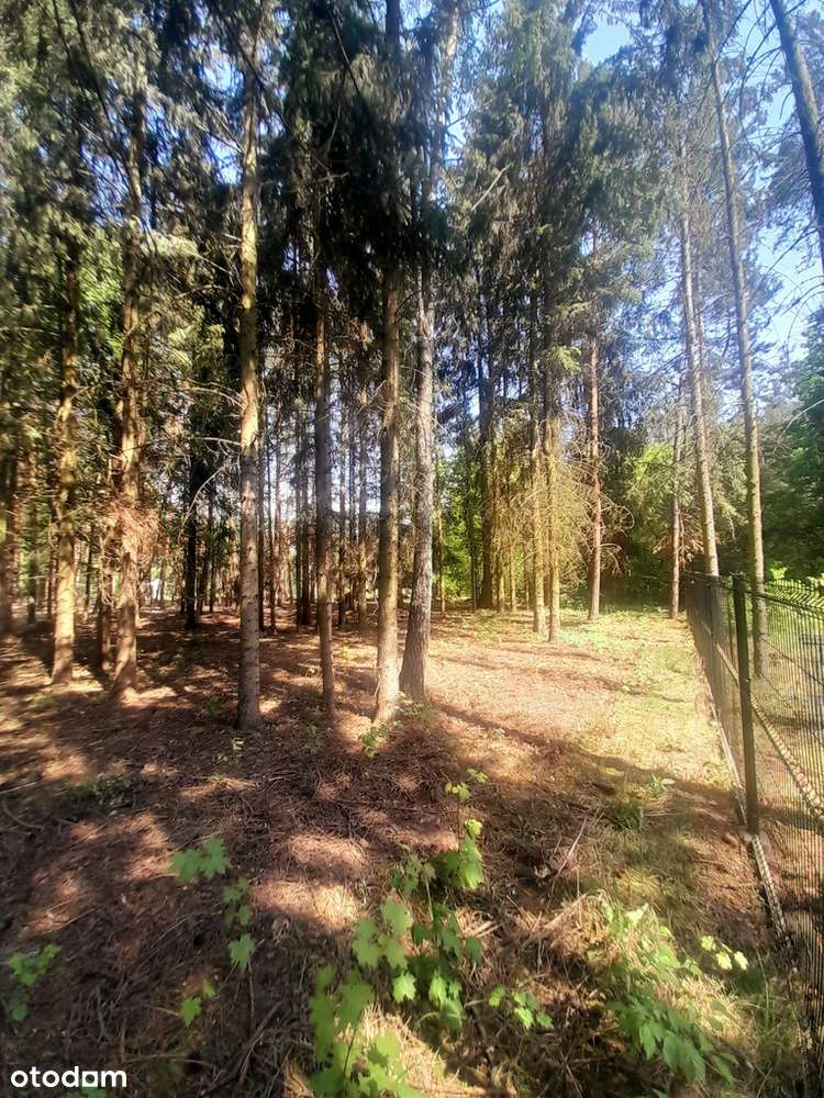 Działka budowlana 2401 mkw Konstancin/Czarnów Las! - Pełny obrazek: 4/4