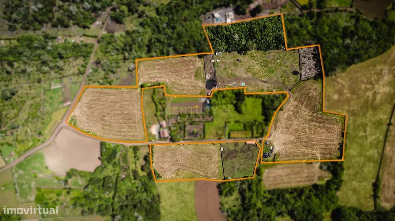 Terreno à Venda na Madalena, Ilha do Pico - 43.000m²-3