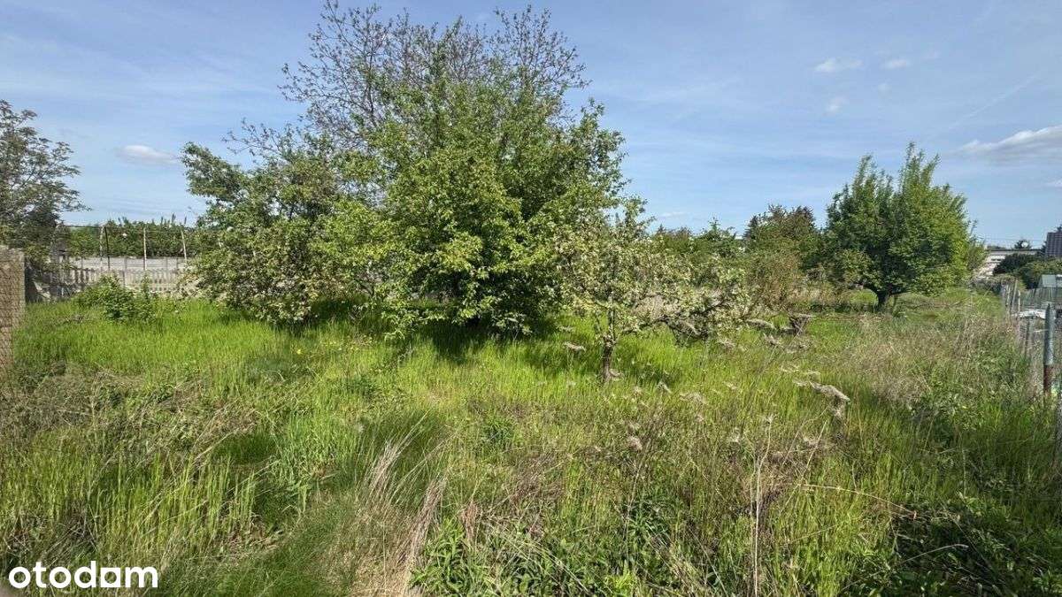 Rosnówko, ul. Podgórna 14-16-6