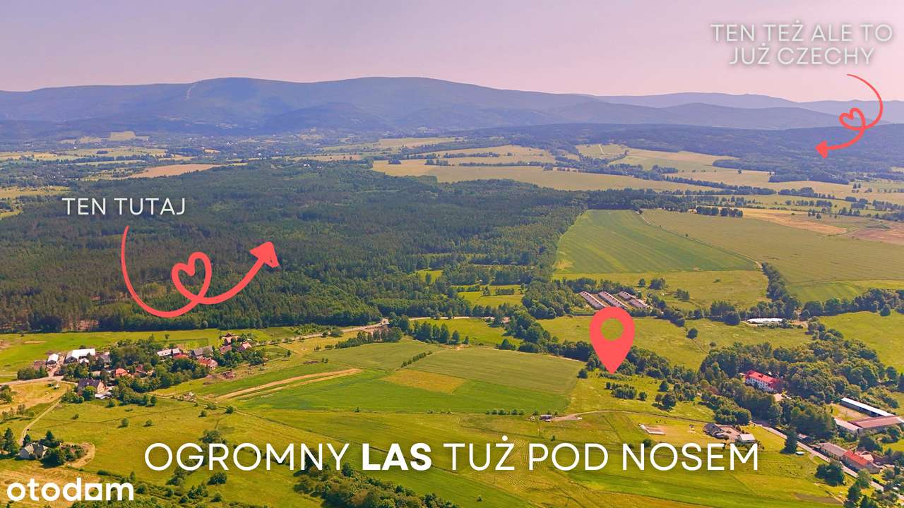 PIĘKNA DZIAŁKA 6336 M²/ŚWIECIE /PIĘKNE WIDOKI/MPZP/MOŻLIWOŚĆ PODZIAŁU-4