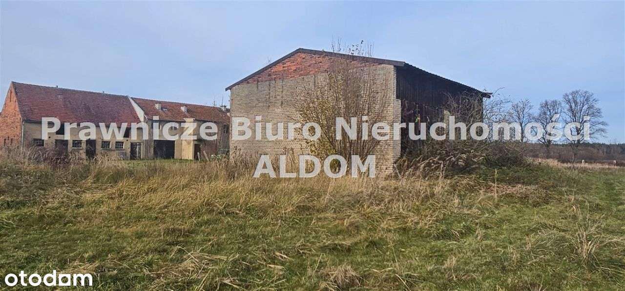 Działka usługowo rolna, Przygorzele, gm Świerczów-5