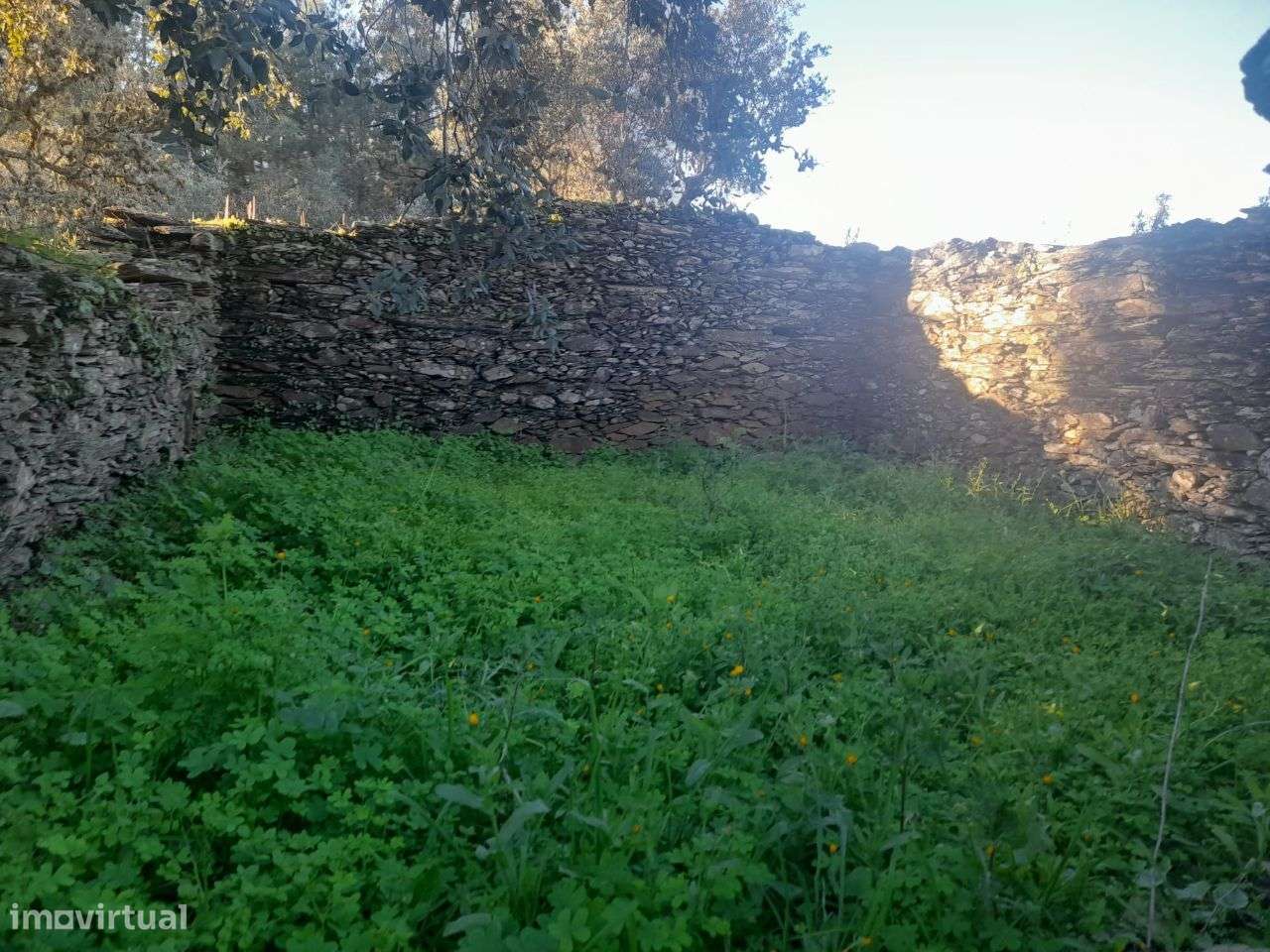 Quintinha - Grande imagem: 4/6