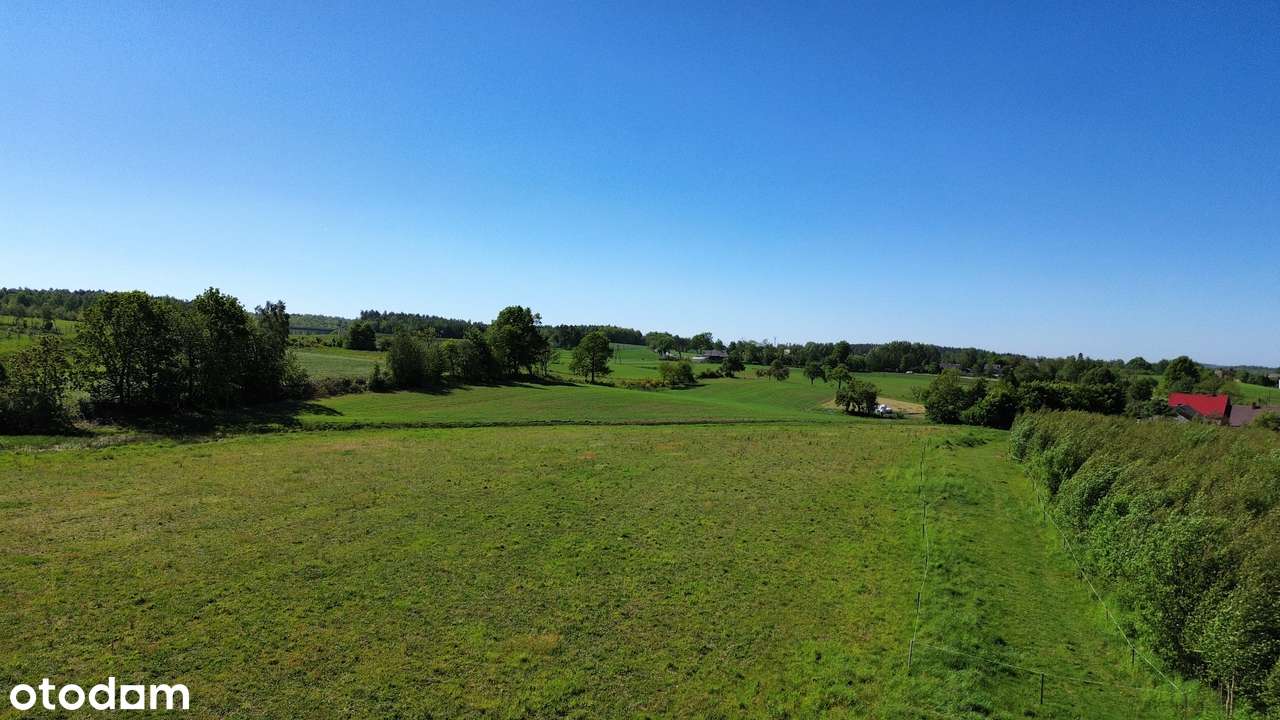 Działka z WZ, 10 min od Wejherowa, Milwino - Pełny obrazek: 4/5