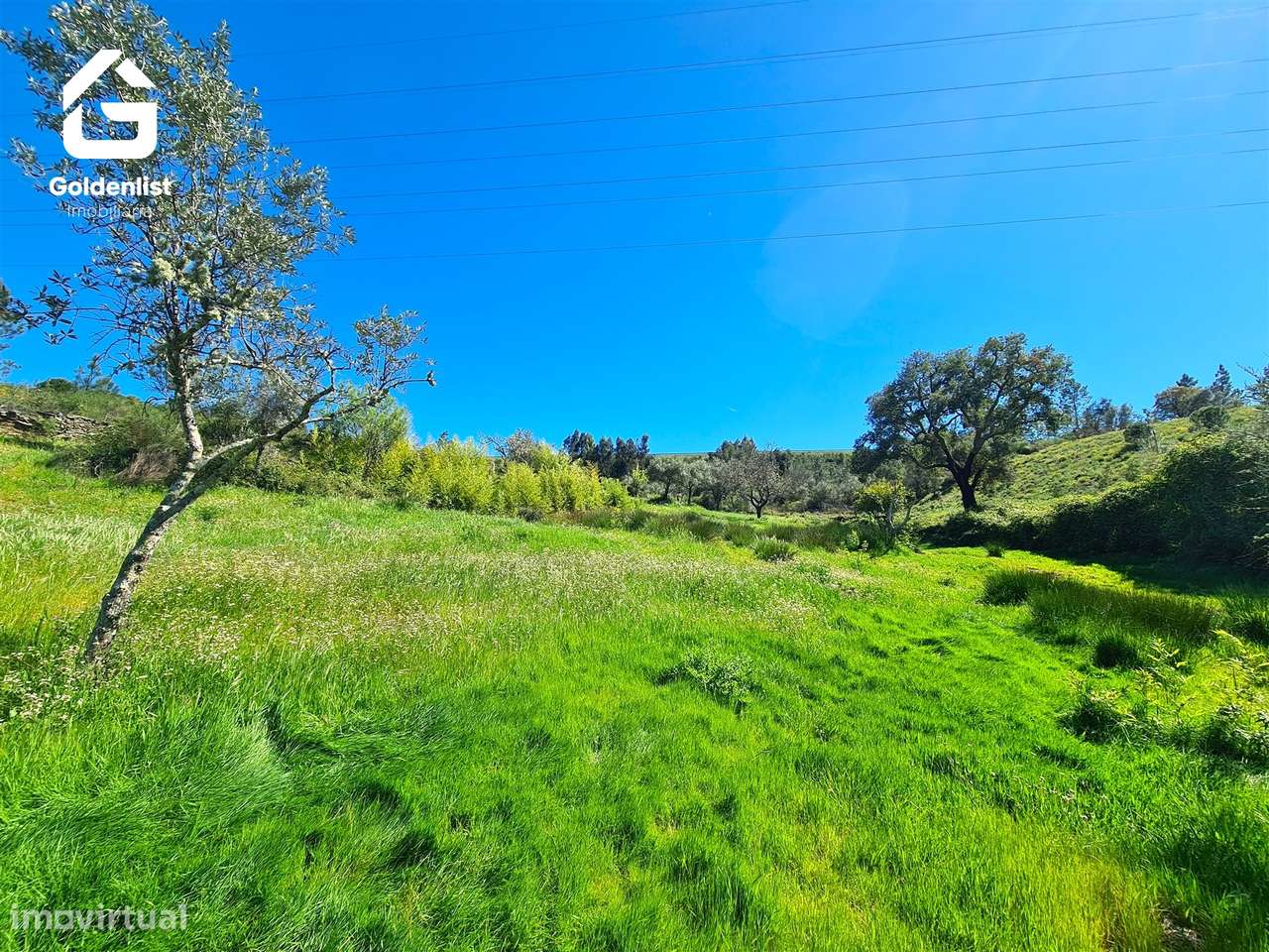 Terreno  Venda em Cebolais de Cima e Retaxo,Castelo Branco-9