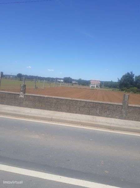 Aluga-se terreno trofa - Grande imagem: 4/5