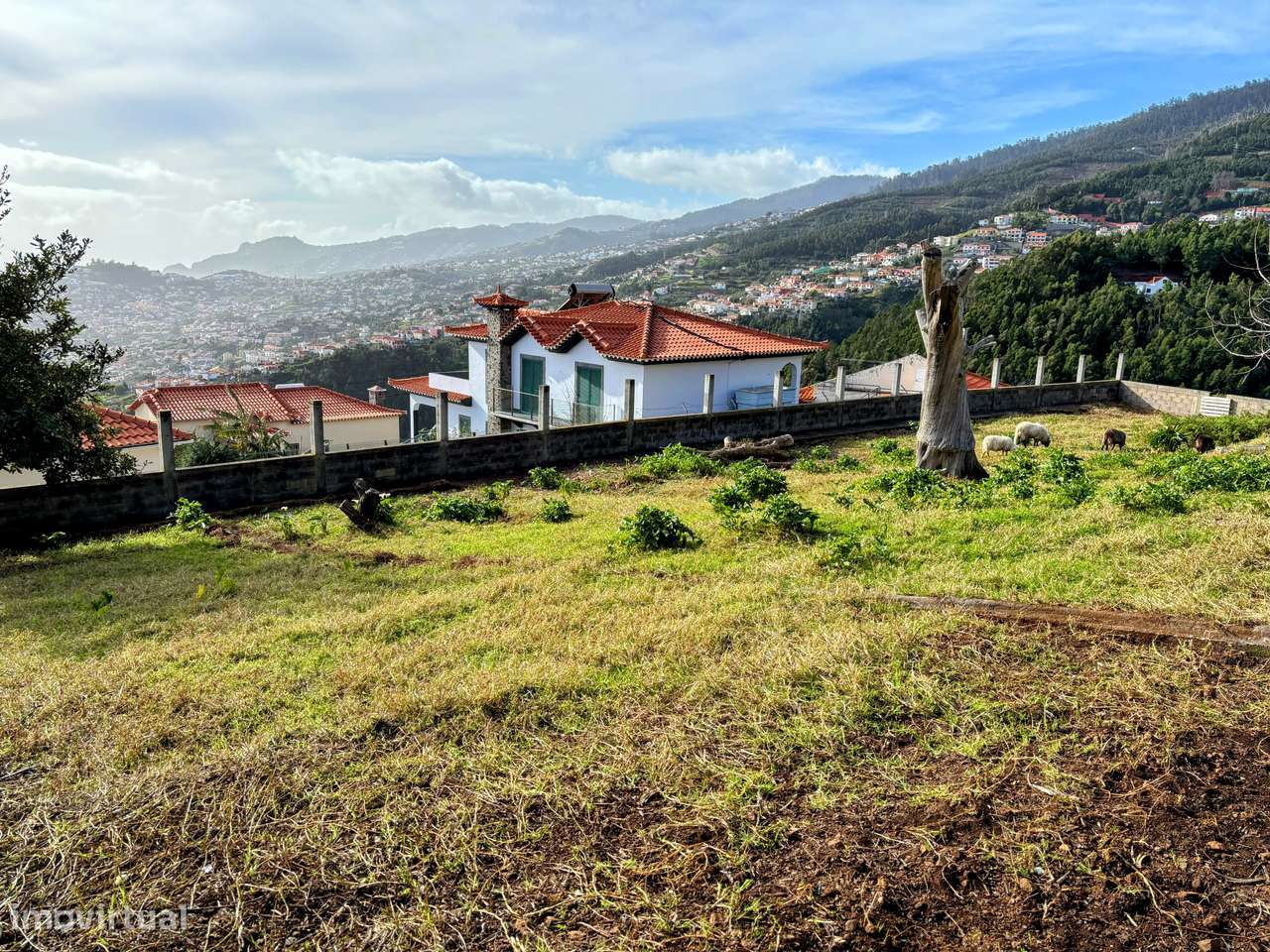 Terreno Urbano Exclusivo com Moradia em Pedra e Expansão Aprovada - Grande imagem: 3/8