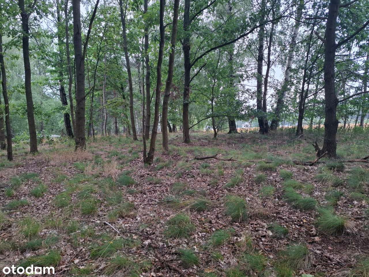 Działka budowlana w Gliniance - Pełny obrazek: 4/8