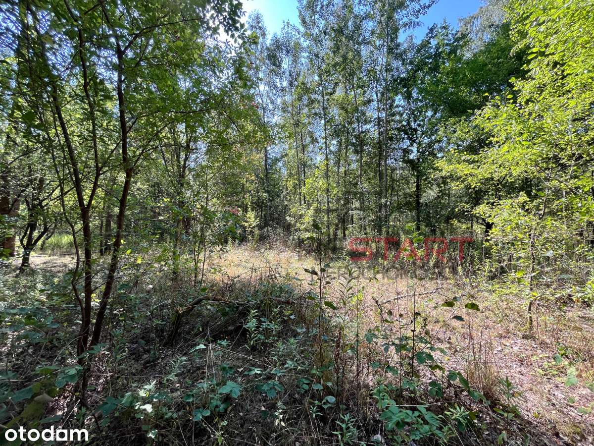 Działka budowlano-rolna, siedliskowa, cicho, S8 - Pełny obrazek: 4/5