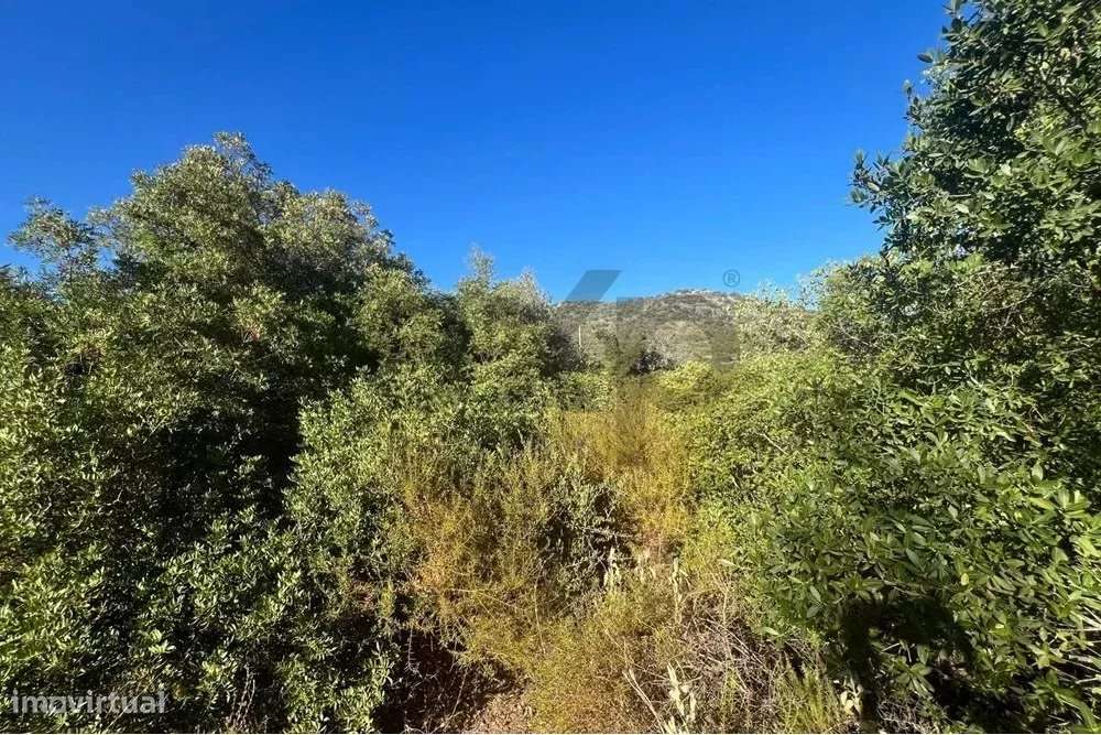 Terreno rústico de 11200m2 em Moncarapacho, Algarve-8
