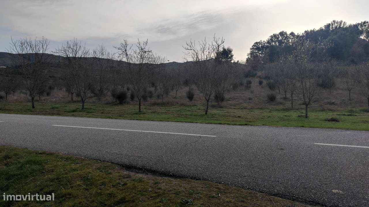 Oportunidade Exclusiva: Quinta com Alto Potencial de Valorização-8