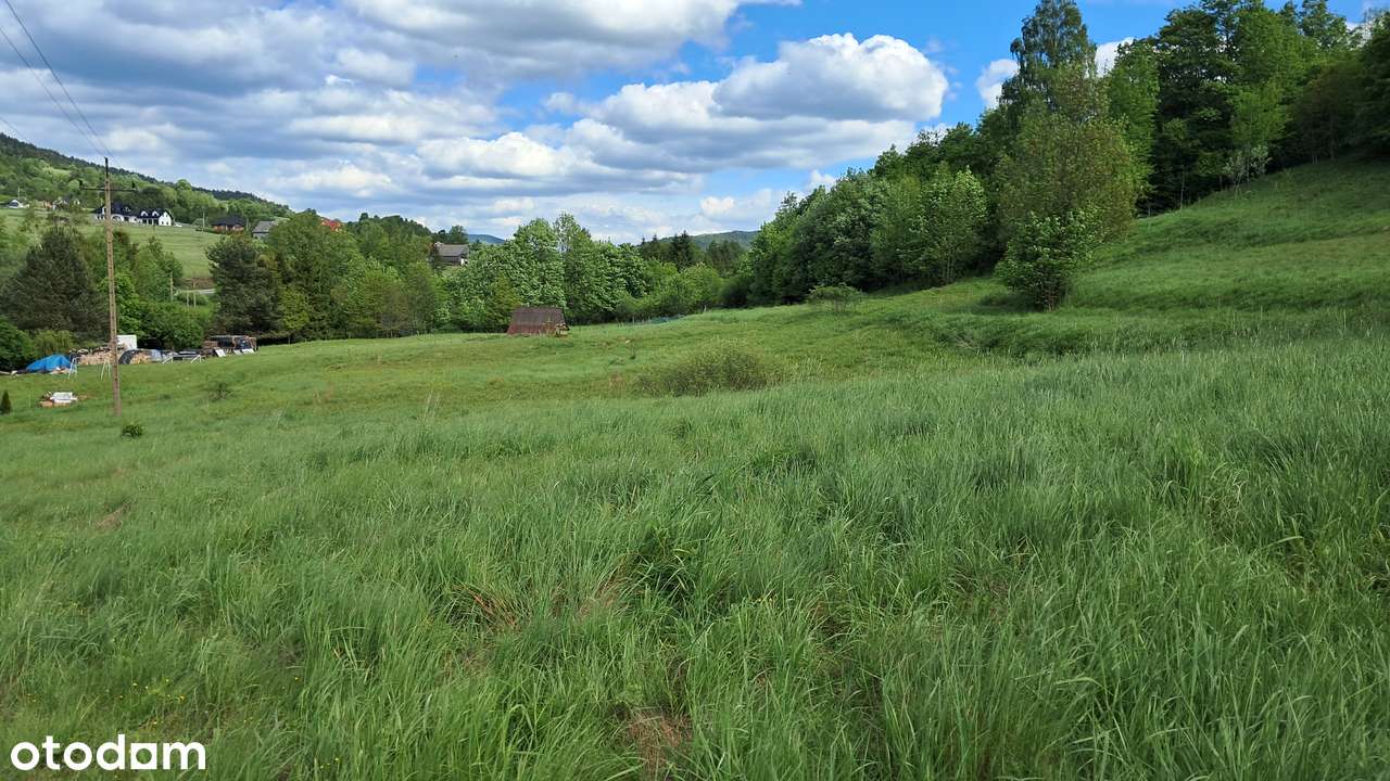 27 arów na Twój wymarzony dom! - Pełny obrazek: 5/8