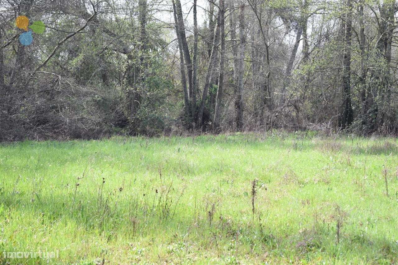 Terreno - Fundão - Grande imagem: 2/10