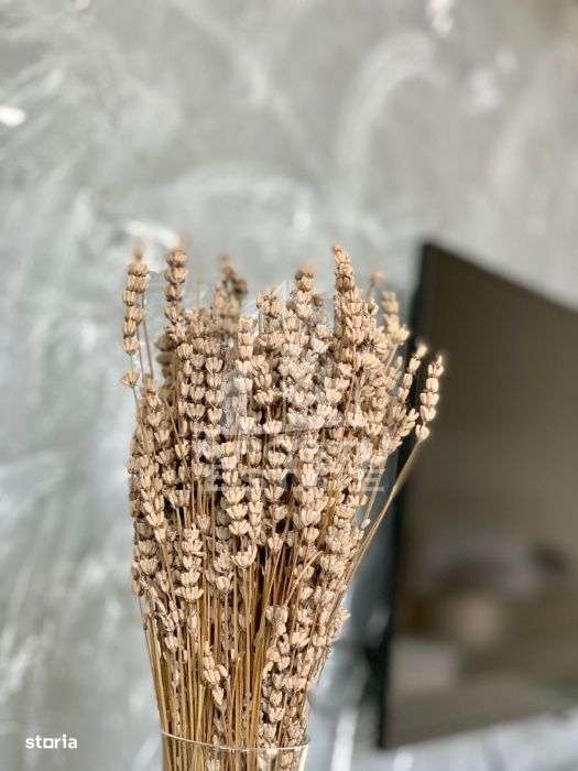 Apartament cu o camera, loc de parcare,centrala proprie, Torontalului - Imagine principală: 3/6