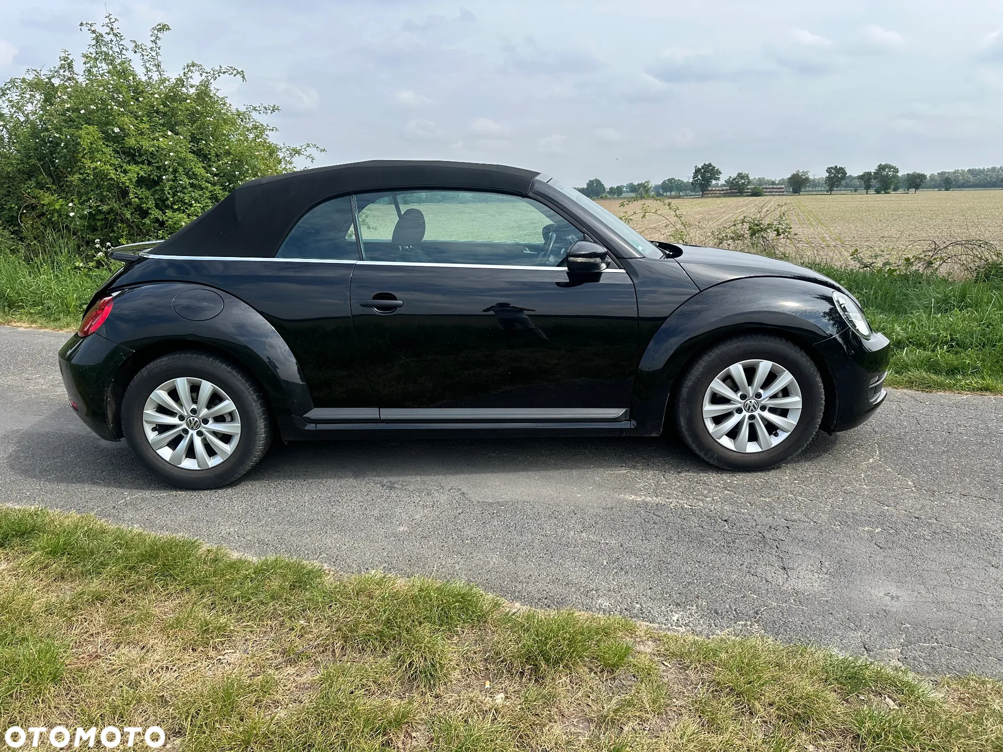 Volkswagen New Beetle - 3