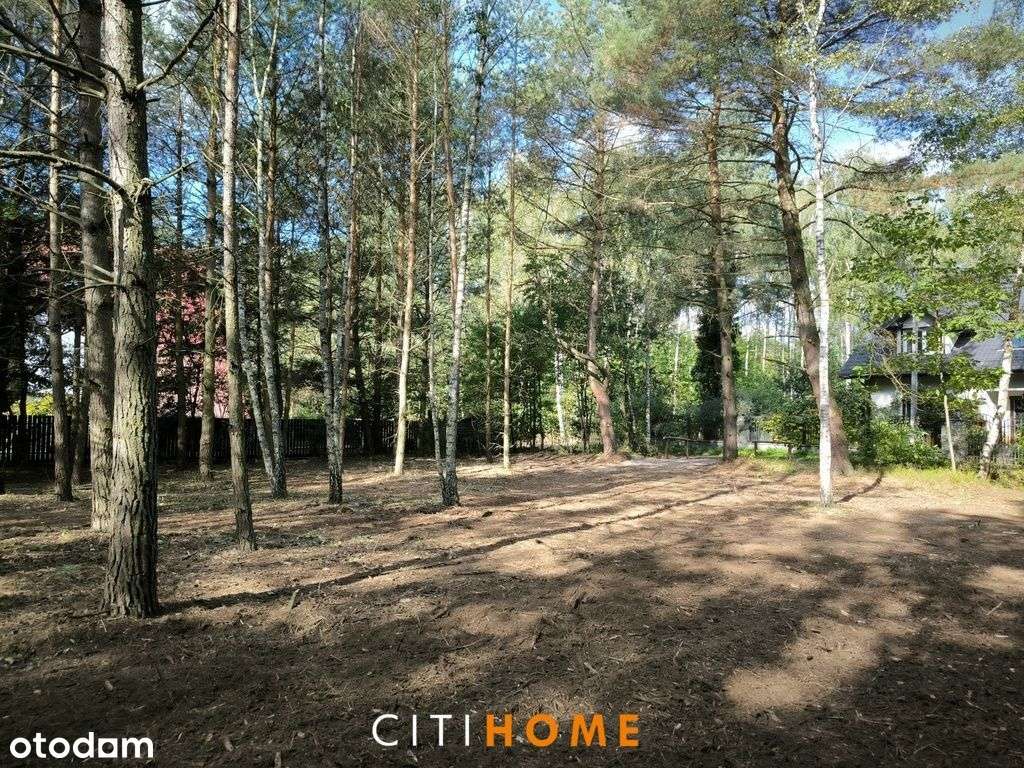 Działka pod lasem w Malcanowie 1.300m2 - Pełny obrazek: 4/10