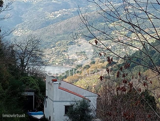 Oportunidade Única: Quinta para Habitação, Turismo ou Agricultura em M-7