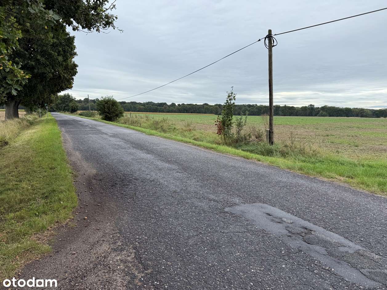 Działka w Wielkich Łąkach-2