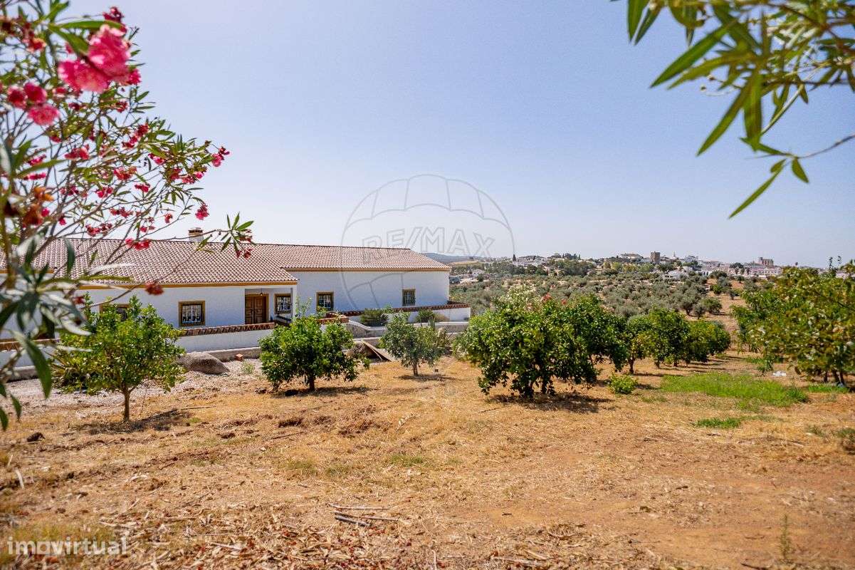 Quinta T5 para venda - Grande imagem: 5/48