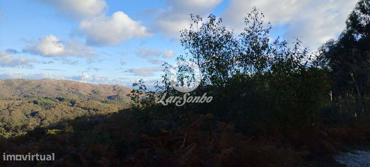 Terreno Rústico com 8.569m² em Zona Alta da Cidade de Fafe-13
