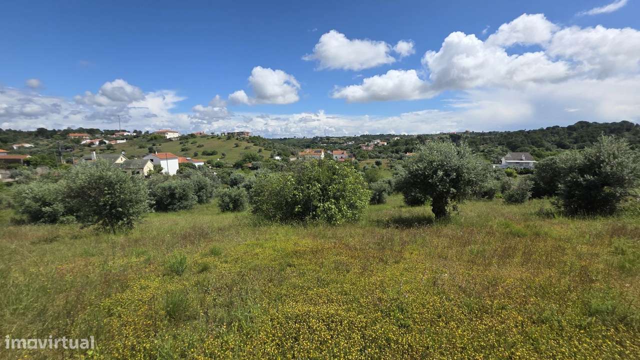 Excelente Terreno para Moradia a 5 kms de Tomar-28