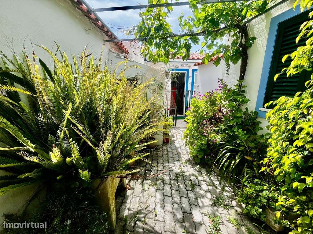 Oportunidade Única em Sesimbra (Cotovia) - T1 com Anexo, Quintal Es... - Grande imagem: 4/26