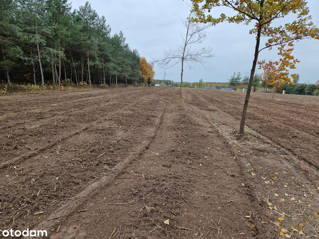 Wymysły- 7 działek budowlanych OFERTA DLA DEWELOPERA pod osiedle domów-4