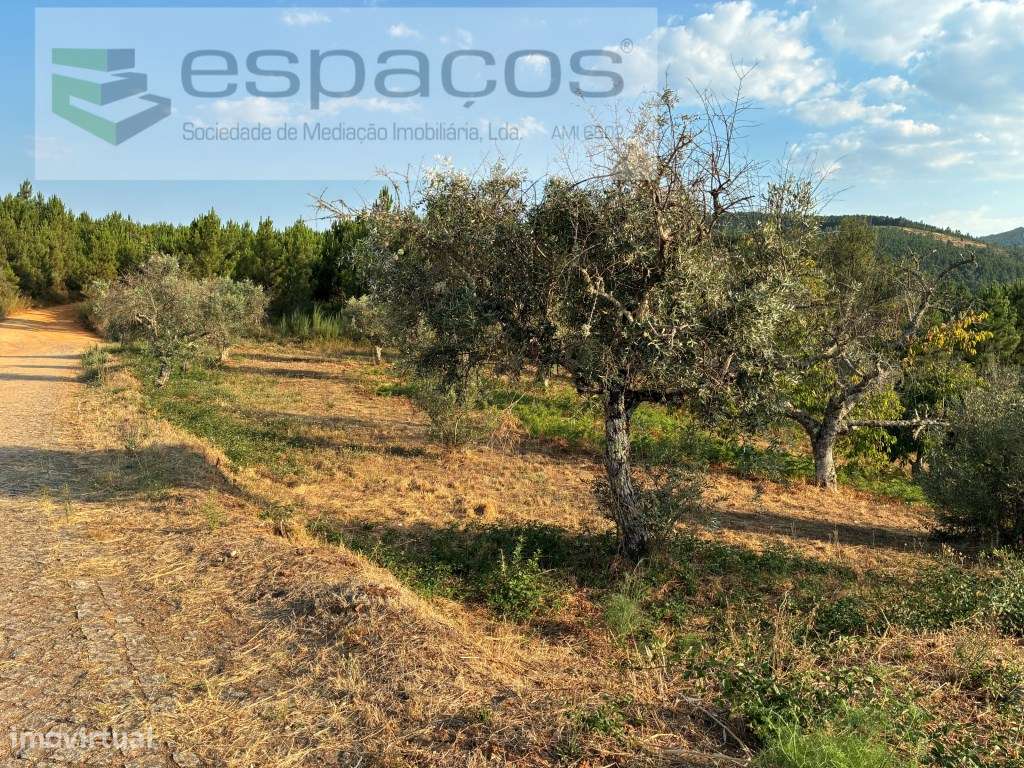 Terreno Urbano - Grande imagem: 2/21