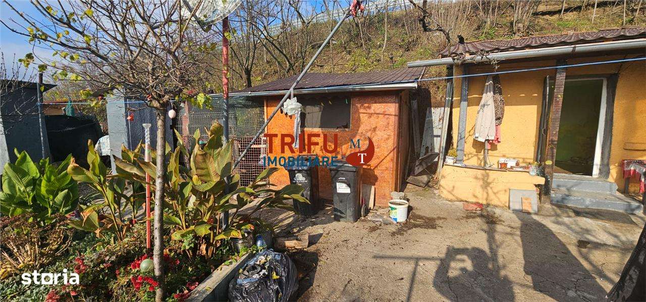 Căsuța din Barabant: O Afacere Mai Bună Decât Un Apartament? (Posibil! - Imagine principală: 5/14