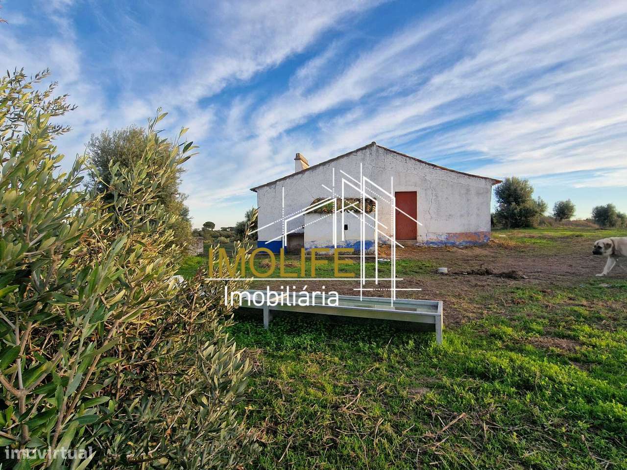 Monte Courela da Boavista - Tesas - Malarranha-11