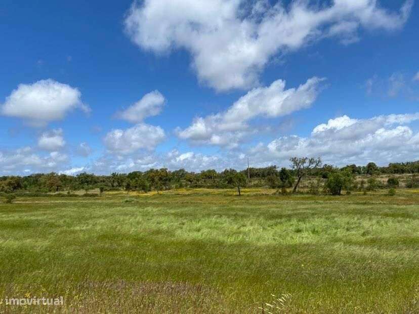 Terreno Rústico 30.2 ha, Cercal do Alentejo, Santiago do Cacem - Grande imagem: 4/60