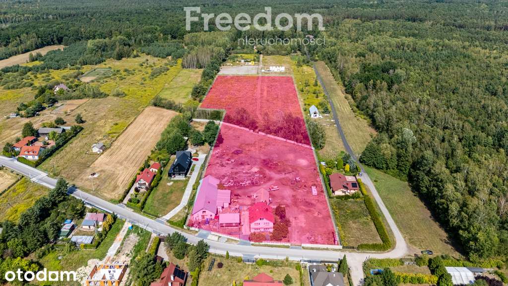 Atrakcyjna działka 2,7 ha w Nowym Prażmowie - Pełny obrazek: 1/20