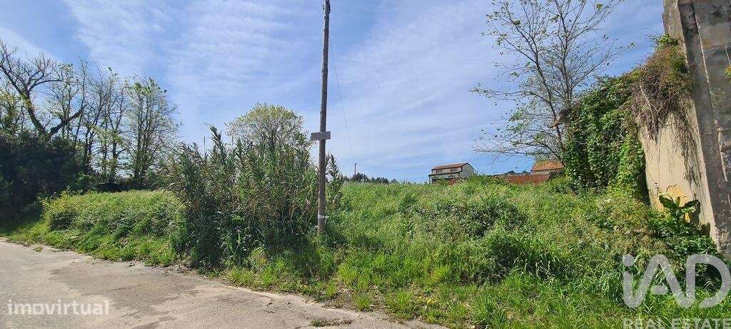 Terreno em Santo André de Vagos de 1878,00 m2 - Grande imagem: 5/9