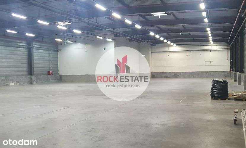 Magazyn na wynajem 1023 m2 - 0% prowizji-3