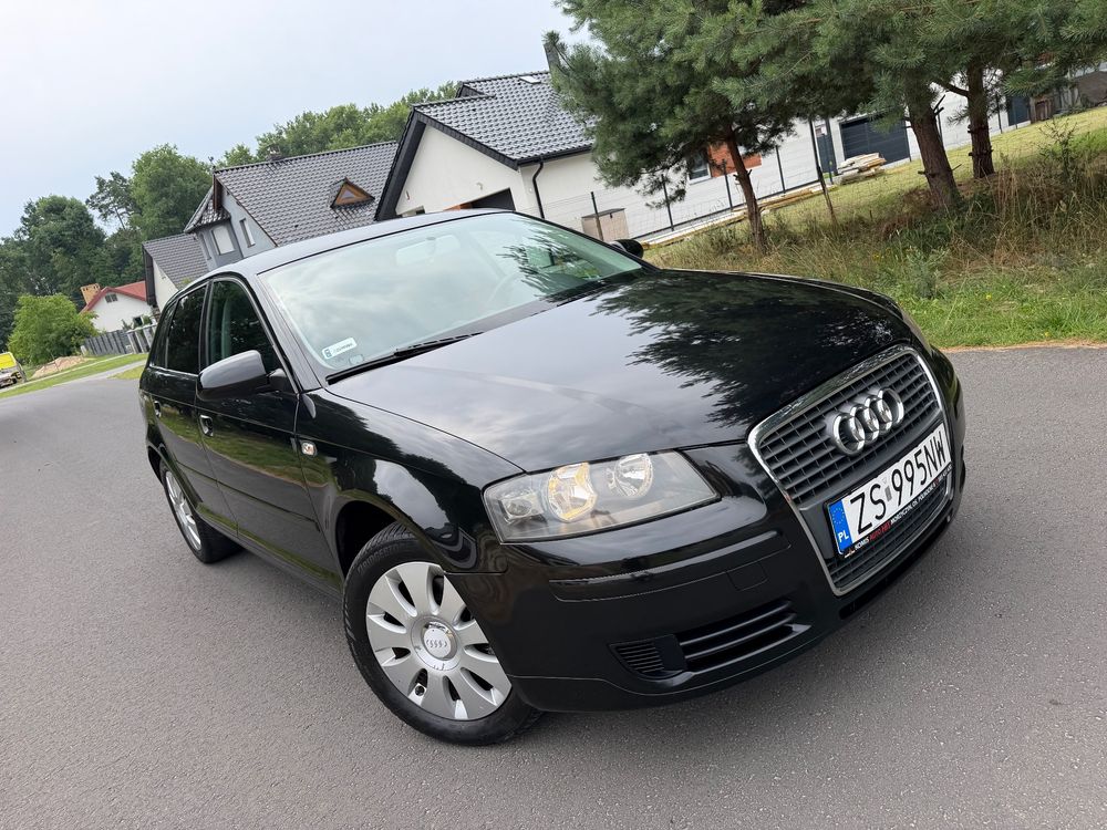 Audi A3 8P (2003-2012) 2.0 TDI Ambiente S tronic 2005